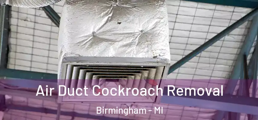  Air Duct Cockroach Removal Birmingham - MI