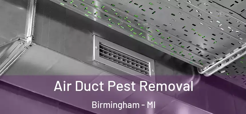  Air Duct Pest Removal Birmingham - MI