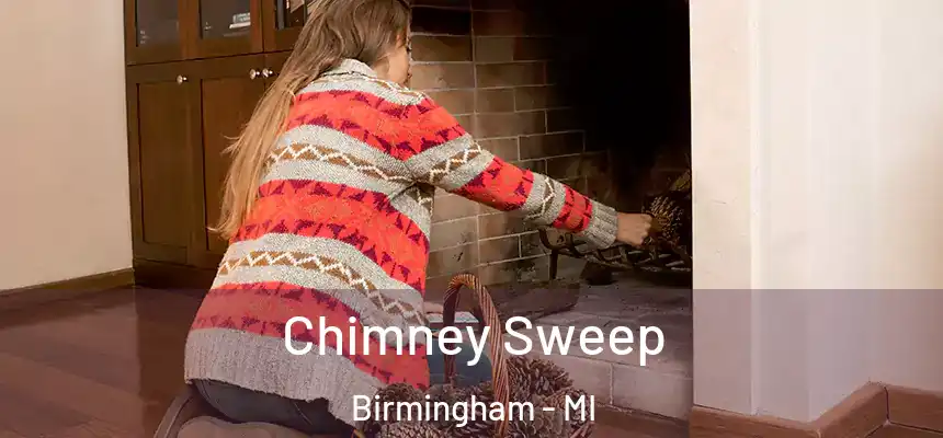  Chimney Sweep Birmingham - MI
