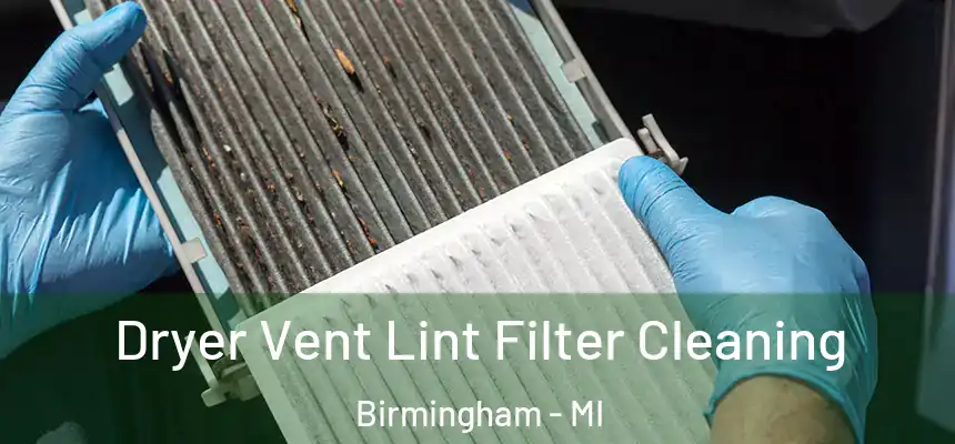 Dryer Vent Lint Filter Cleaning Birmingham - MI