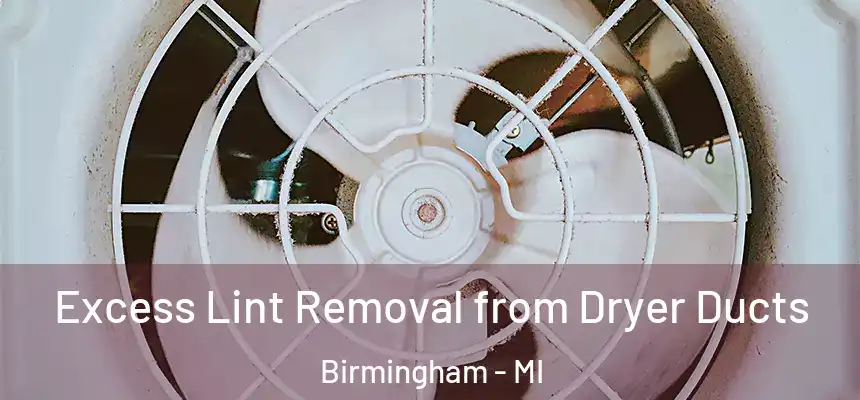  Excess Lint Removal from Dryer Ducts Birmingham - MI