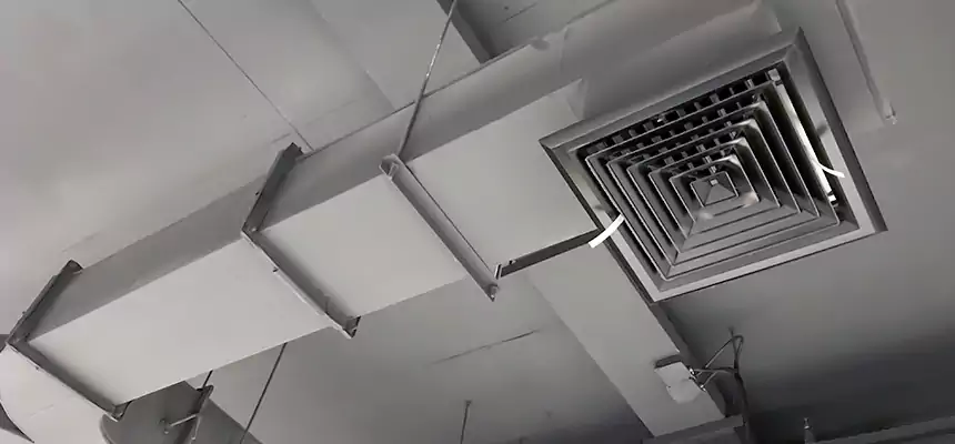 Restorative Allergy Relief Vent Cleaning – Coil, Blower & Housing Detail in Birmingham