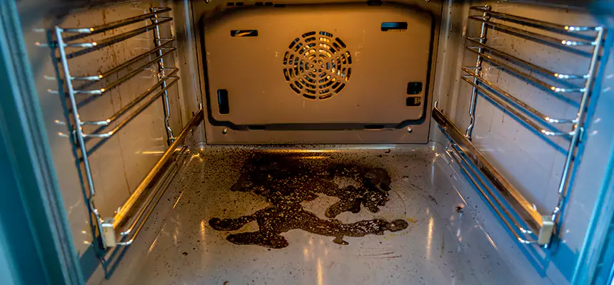 Our Dryer Vent Mold Cleaning Services in Birmingham, MI