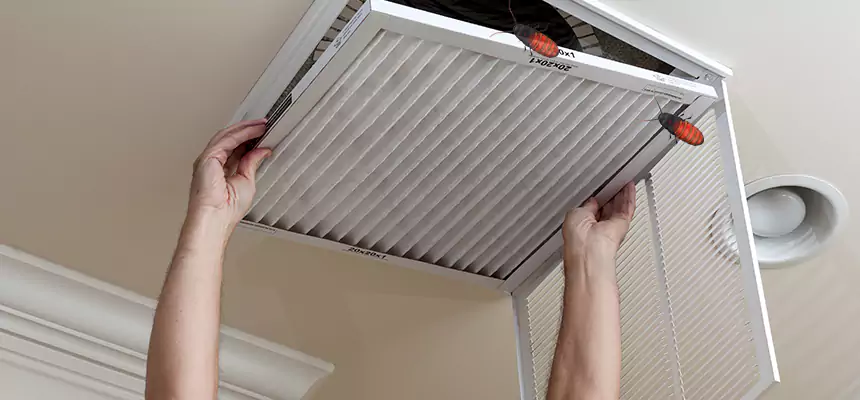 Our Insect Removal from Air Ducts Services in Birmingham, MI
