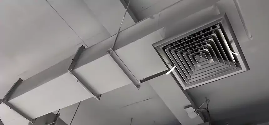 Our Pest Removal From Ducts Services in Birmingham, MI