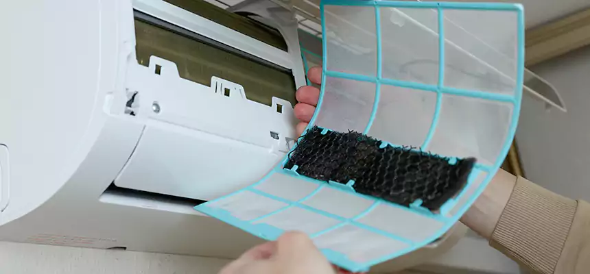 Gentle Ductwork Odor-Control Pet Dander Duct Cleaning in Birmingham, MI