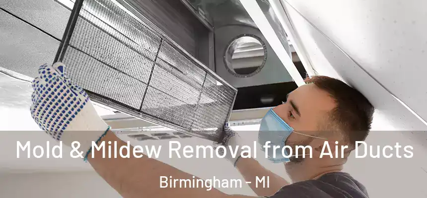  Mold & Mildew Removal from Air Ducts Birmingham - MI