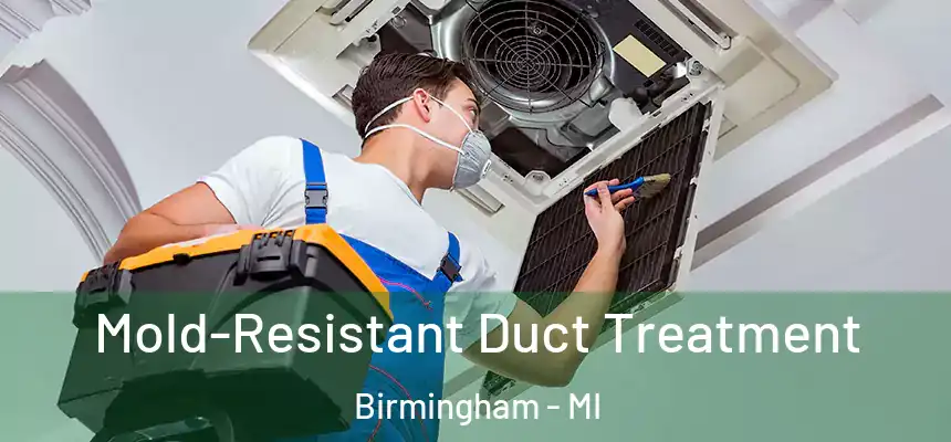  Mold-Resistant Duct Treatment Birmingham - MI