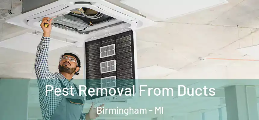  Pest Removal From Ducts Birmingham - MI