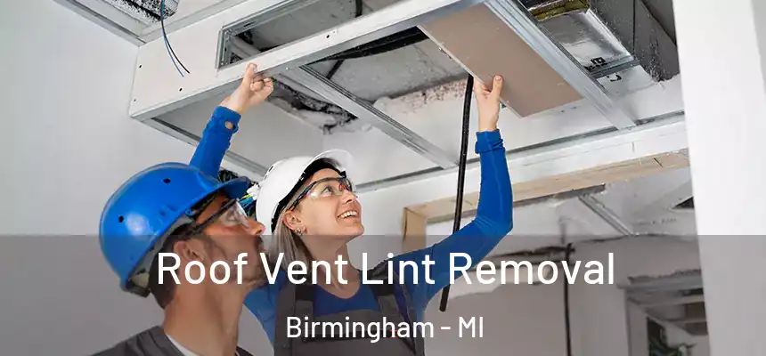 Roof Vent Lint Removal Birmingham - MI