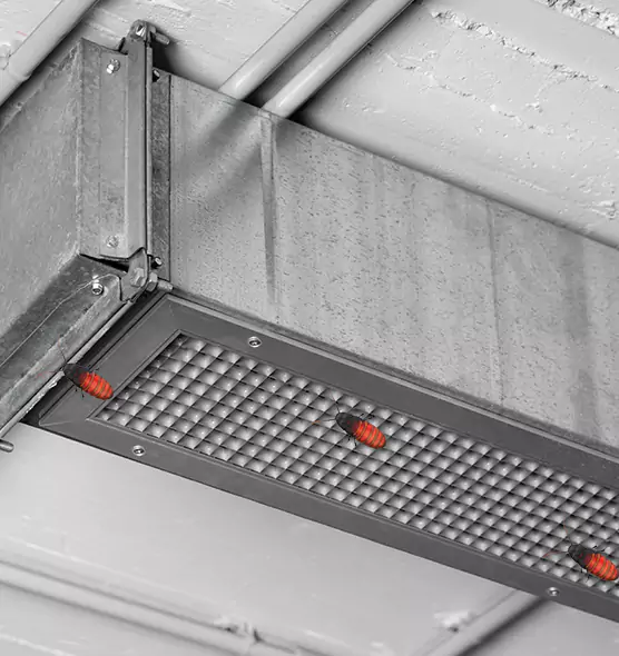 About Air Duct Cockroach Removal in Birmingham, MI