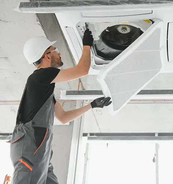 About Air Duct Rodent Removal in Birmingham, MI