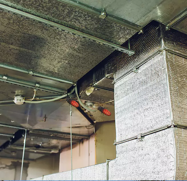 Why Homeowners & Businesses Trust Us in Birmingham, MI?